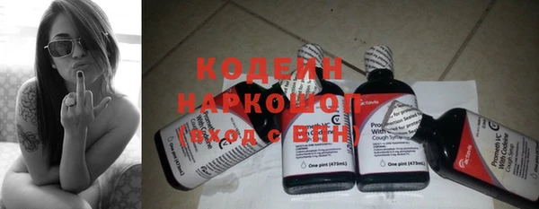 стаф Бородино