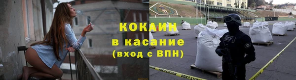 бошки Осинники