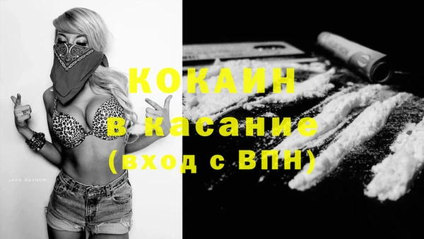 ПСИЛОЦИБИНОВЫЕ ГРИБЫ Богородицк